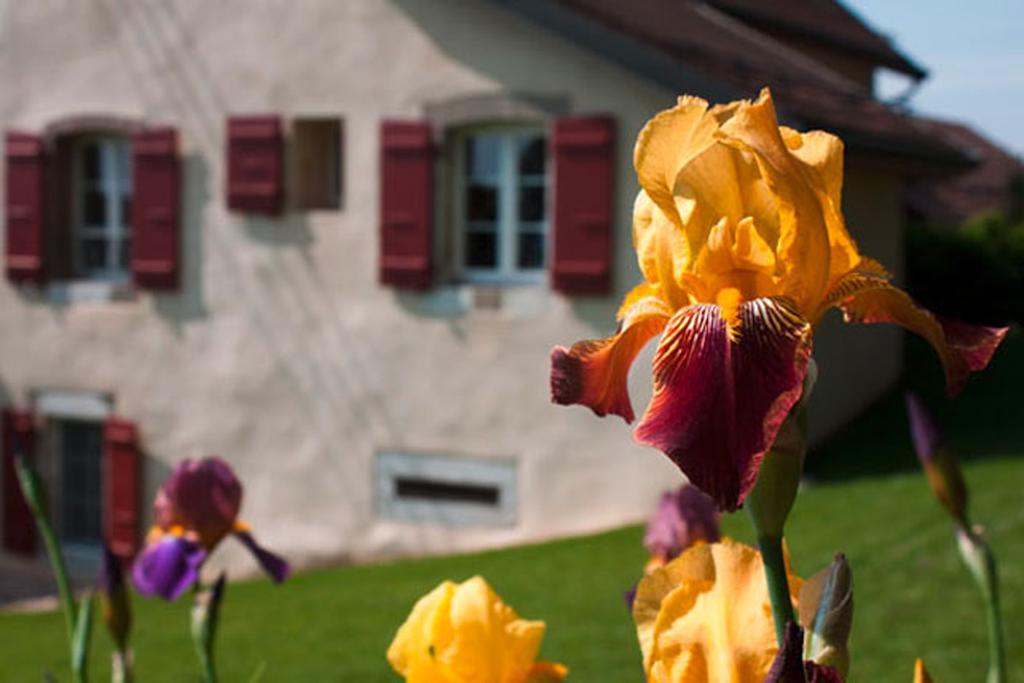 La Belle Saison Bed & Breakfast Mollens  Exterior foto